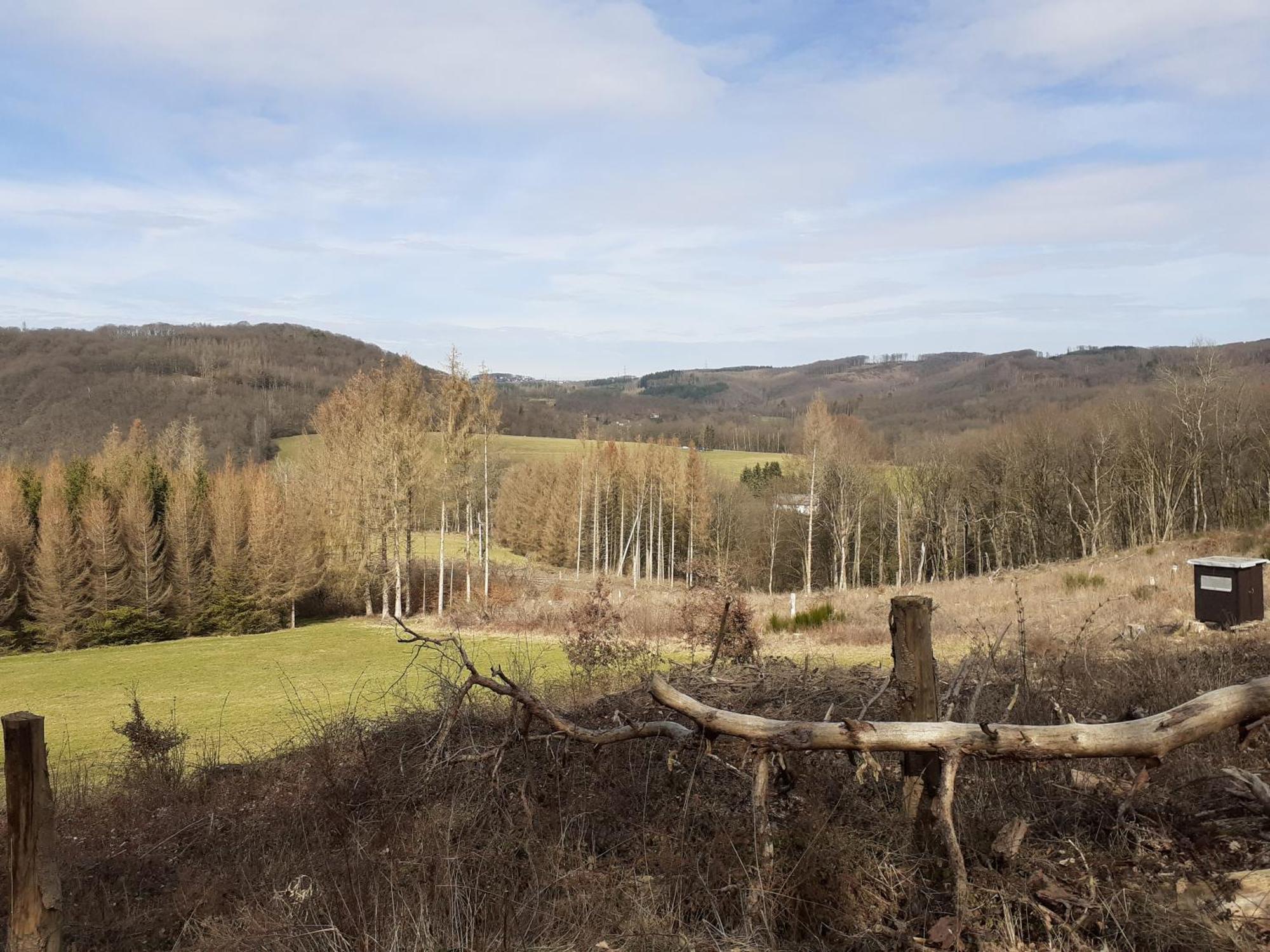 Haus S.E.E. Hotell Marienthal  Exteriör bild
